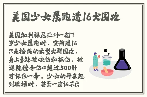 国产精品无码免费专区午夜